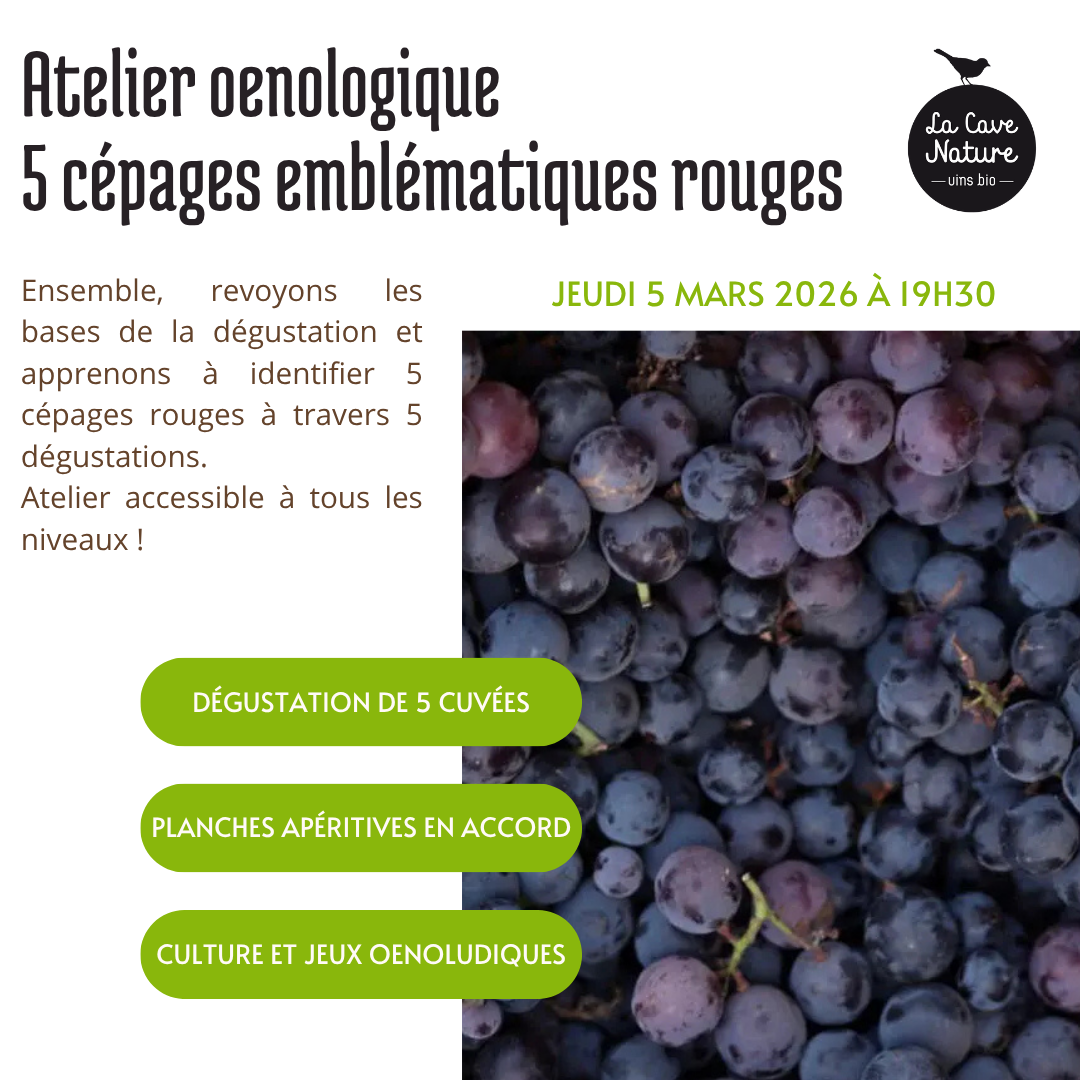Ateliers Œnologiques Bouguenais – Image 19
