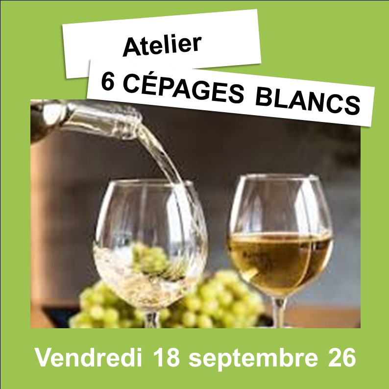 Ateliers Œnologiques Pornic – Image 3