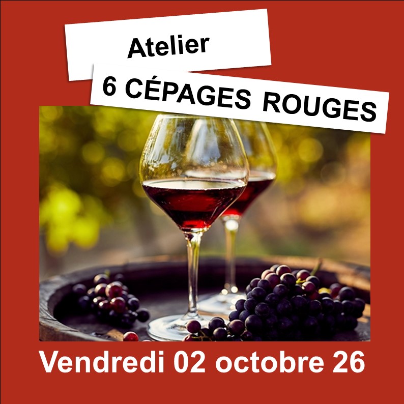 Ateliers Œnologiques Pornic – Image 4